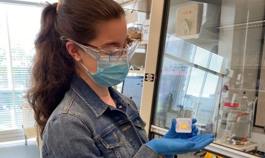 Julia Japo ’22 – Second Year of Summer Research!