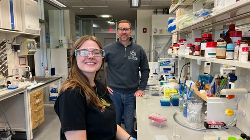 Summer Research Series: DNA Origami