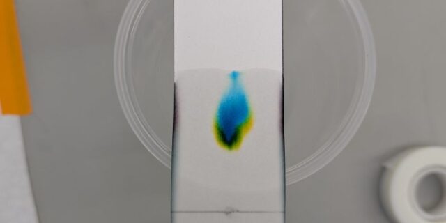 Emmanuel Open House and cool chromatography
