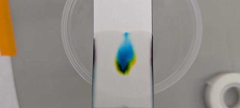 Emmanuel Open House and cool chromatography