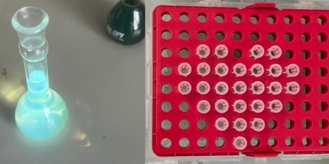 Ann-Lee Coriolan ’28 – Hearts are full of fun fluorescence!