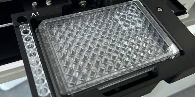 Georgia Kazis ’27 – Kinetics, Controls, and Comebacks