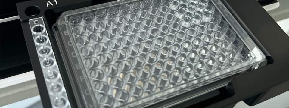 Georgia Kazis ’27 – Kinetics, Controls, and Comebacks