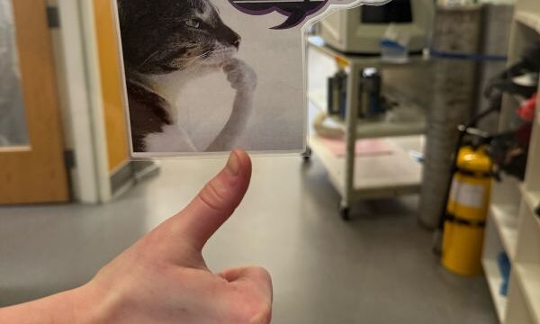 Lana Dang’28 – DIY lab decor inspiring creativity!