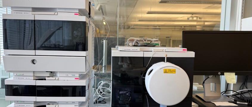 Ellie Vanhille ’26 – Working together on separations