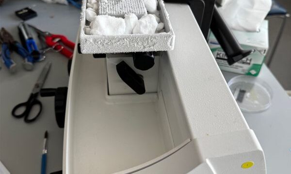 Noah Carreiro ’26 – Building Skills